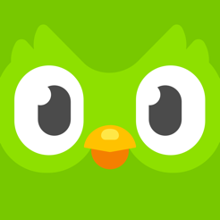 Duolingo app icon as of June 2021