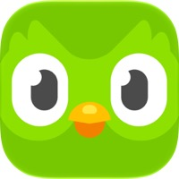 Duolingo app icon as of October 2026