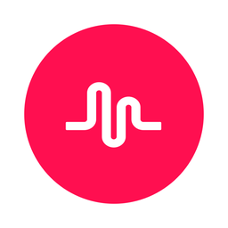 TikTok app icon as of 8 February 2018